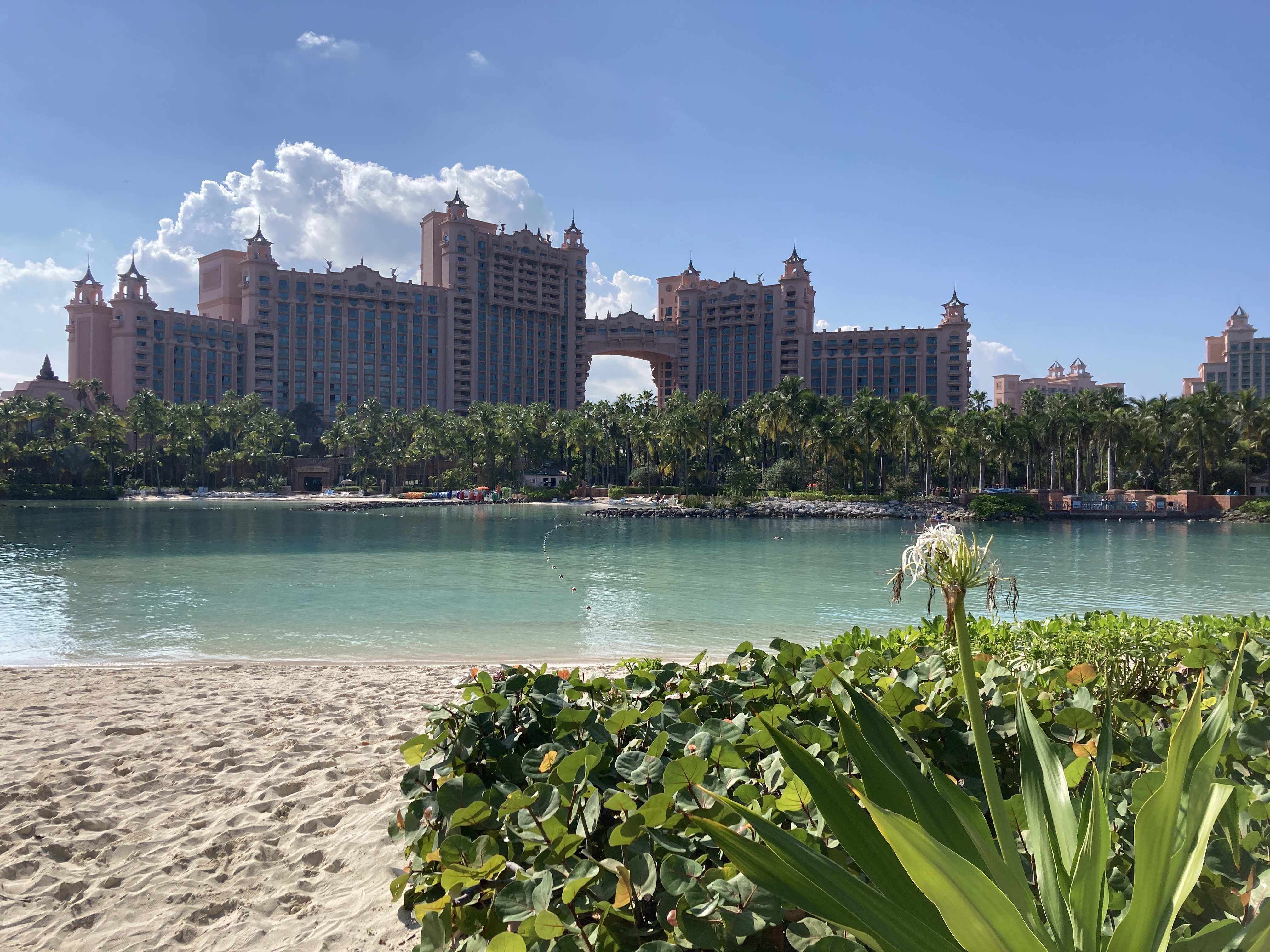 bahamas22