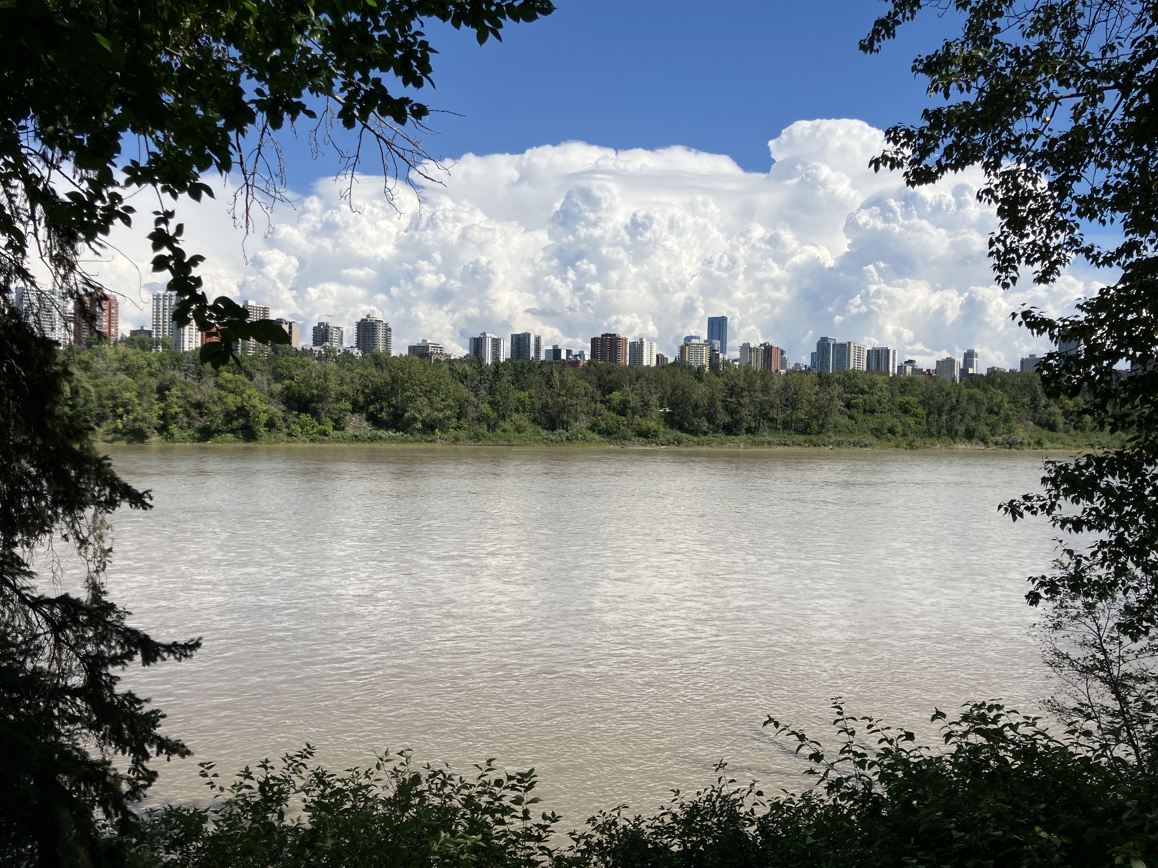 edmonton25